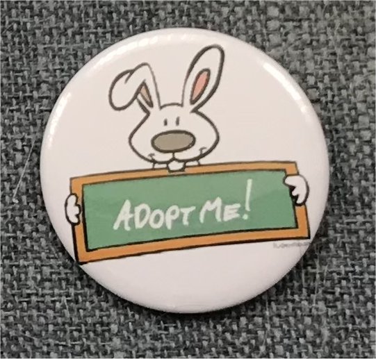 Adopt Me - Bunny - Click Image to Close